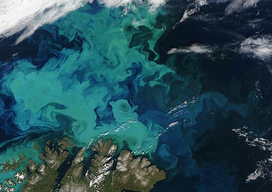 plankton swirls off Norway